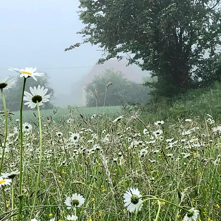 בית נופש Le Bon Chemin *