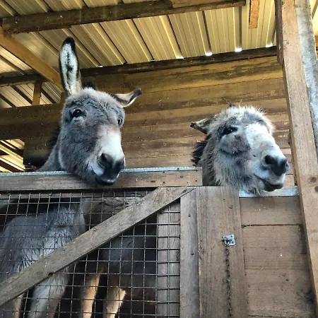 Le Bon Chemin * Sainte-Nathalène
