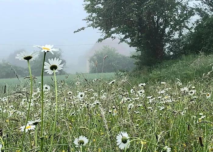 Dom wakacyjny Le Bon Chemin *