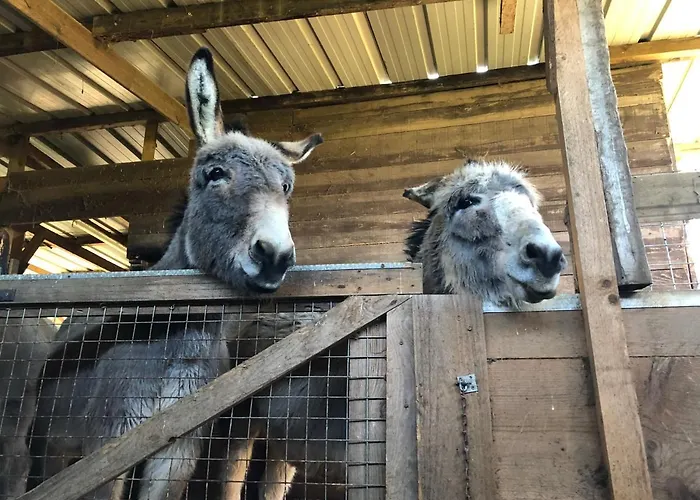 Le Bon Chemin * Sainte-Nathalène