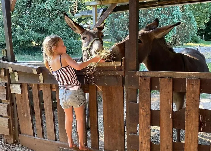 Le Bon Chemin Dom wakacyjny