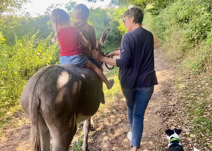 Le Bon Chemin * Sainte-Nathalène